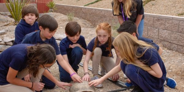 Doral Tortoise Habitat