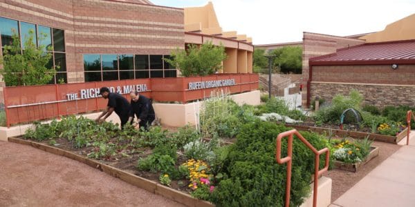 School Garden at Doral Academy in Summerlin