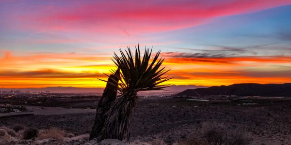 Sunset view from Red Rock National Conservation Area